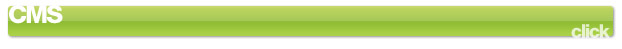 CMS (Content Management Systems)